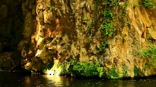 Cave, Tree, Geological Formation, Landscape, Forest, River