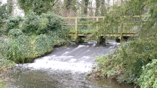 Channel, Body Of Water, Forest, River, Land, Water