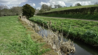 Channel, Body Of Water, Landscape, Tree, Grass, Forest