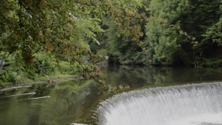 Channel, Body Of Water, River, Forest, Waterfall, Water