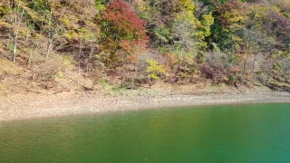 Channel, Body Of Water, River, Landscape, Water, Forest