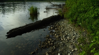 Channel, Body Of Water, River, Water, Lake, Landscape