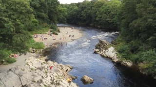 Channel, Body Of Water, Water, River, Landscape, Forest