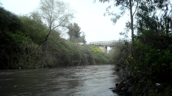 Channel, Body Of Water, Water, River, Landscape, Tree