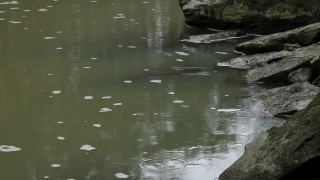 Channel, Water, Body Of Water, River, Landscape, Stream