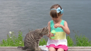 Child, Beach, Summer, Sea, Kid, Happy