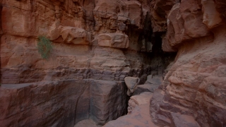 Cliff Dwelling, Dwelling, Housing, Canyon, Rock, Cave