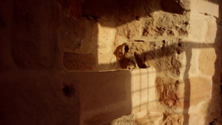 Cliff Dwelling, Dwelling, Housing, Rock, Cell, Structure