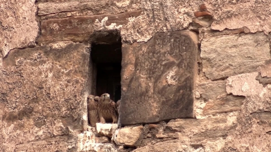 Cliff Dwelling, Dwelling, Housing, Rock, Structure, Stone
