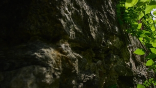 Cliff, Geological Formation, Rock, River, Mountain, Tree
