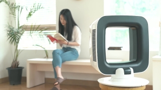 Computer, Working, People, Laptop, Sitting, Adult