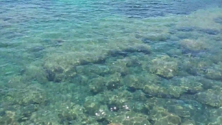 Coral Reef, Reef, Ridge, Sea, Natural Elevation, Ocean
