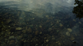 Coral Reef, Reef, Underwater, Sea, Coral, Fish