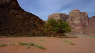 Desert, Rock, Canyon, Landscape, Mountain, Sand
