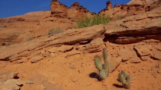 Desert, Tract, Sand, Rock, Landscape, Canyon