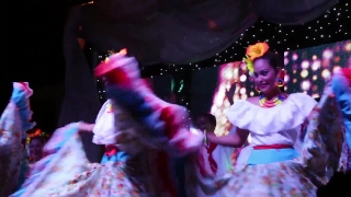 Disco, Ballroom, Cabaret, Room, Singer, Spot