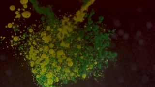 Duckweed, Aquatic Plant, Common Duckweed, Plant, Vascular Plant, Texture