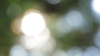 Egg, Light, Blur, Design, Bright, Color