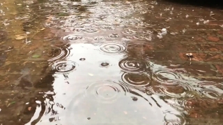 Egg, Water, Liquid, Drop, Rain, Wet