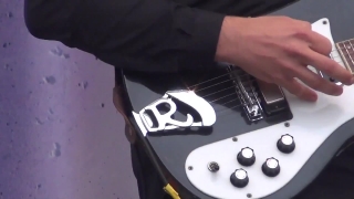 Electric Guitar, Guitar, Stringed Instrument, Musical Instrument, Music, Musical