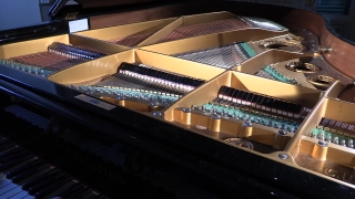 Electric Organ, Electronic Instrument, Musical Instrument, Device, Keyboard Instrument, Abacus