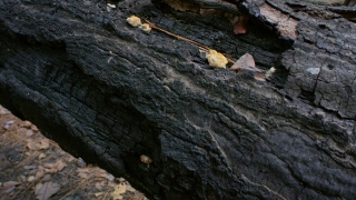Fault, Texture, Rough, Volcano, Stone, Mountain
