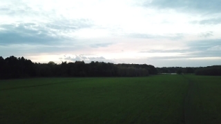 Field, Grass, Sky, Rough, Landscape, Meadow