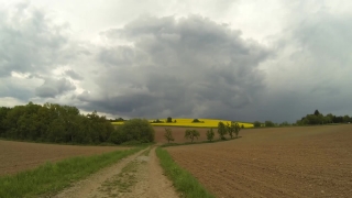 Field, Sky, Meadow, Landscape, Grass, Rapeseed