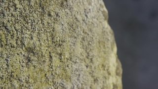 Flour, Rough, Texture, Stone, Material, Surface