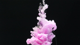Flower, Snapdragon, Plant, Vascular Plant, Angiosperm, Petal