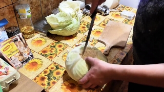 Food, Plate, Cheese, Meal, Vegetable, Dinner