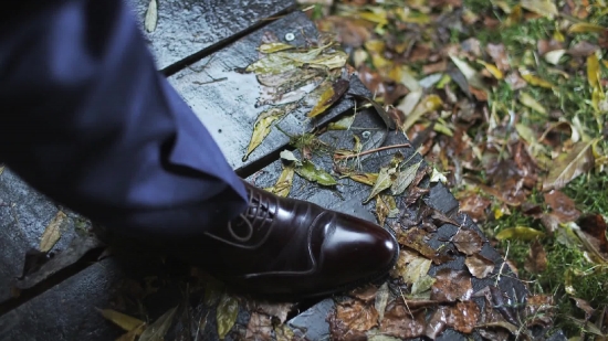 Footwear, Shoe, Boot, Cowboy Boot, Leather, Shoes