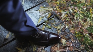 Footwear, Shoe, Boot, Loafer, Cowboy Boot, Covering