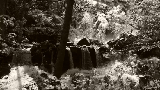 Forest, Hovel, Landscape, Tree, Stone, Memorial