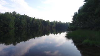Forest, Lake, Land, Landscape, Swamp, Water