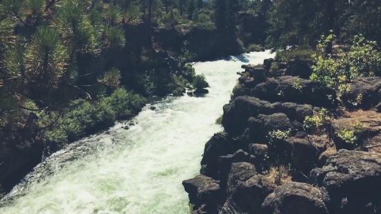 Forest, Landscape, River, Water, Wilderness, Mountain