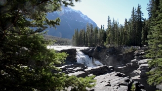 Forest, River, Mountain, Landscape, Water, Stream