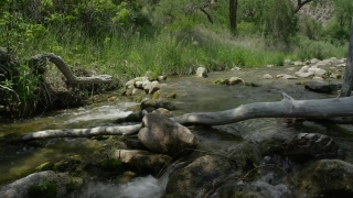 Forest, River, Stream, Water, Waterfall, Mountain