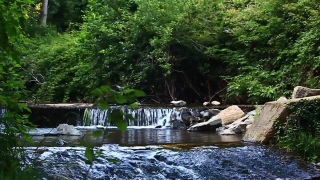 Forest, River, Water, Land, Landscape, Channel