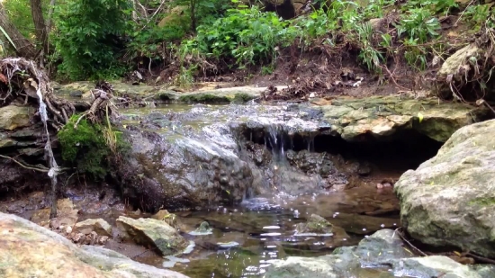 Forest, River, Water, Land, Stream, Rock