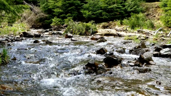 Forest, River, Water, Landscape, Channel, Mountain