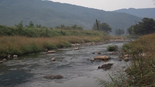 Forest, River, Water, Landscape, Land, Lake
