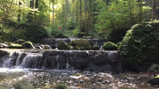 Forest, River, Water, Landscape, Stream, Mountain