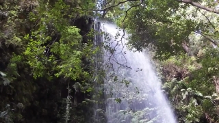 Forest, River, Waterfall, Stream, Tree, Landscape