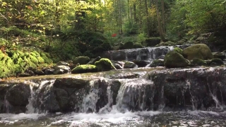 Forest, River, Waterfall, Stream, Water, Mountain