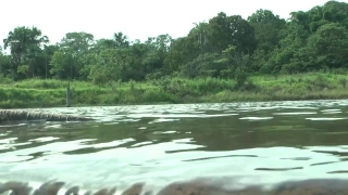 Forest, Sandbar, Water, Land, Landscape, Lake