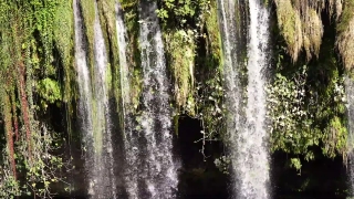 Fountain, Structure, Forest, Tree, Landscape, Trees
