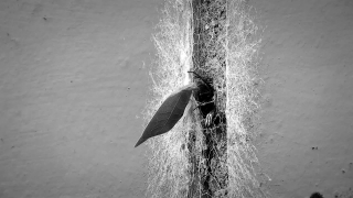 Fountain, Structure, Hole, Grunge, Water, Old