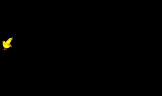Frame, Black, Photograph, Representation, Creation, Dark