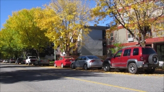 Garage, Road, Tree, Car, Landscape, Trees